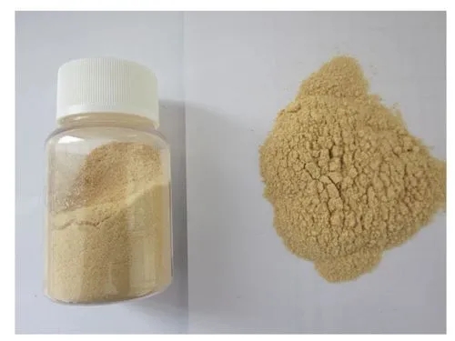 Sodium Glutamate