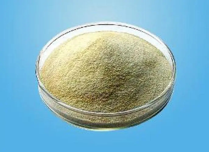 Sodium Alginate